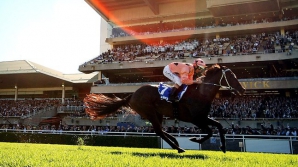 Regina terenurilor! Este de neînvins în cariera de profesionistă, dar se retrage din sportul de performanţă