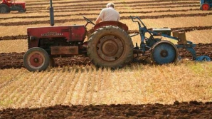 Agricultorii ar putea să nu mai primească compensaţii de la stat, pentru pagubele provocate de secetă