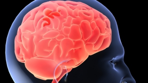 Reportaj CNN: Barack Obama a prezentat un program pentru realizarea unei hărţi a creierului uman   