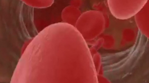 Cercetările pe celule stem au trezit controverse de-a lungul anilor în diferite ţări ale lumii