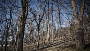 Vremea se încălzeşte, dar vântul va sufla moderat 