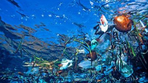 Un grup de exploratori pleacă în căutarea "continentului din plastic"