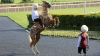 (VIDEO) Preşedintele Turkmenistanului a căzut de pe cal în timpul unei curse