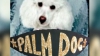 Căţelul din pelicula "Behind the Candelabra" a câştigat trofeul Palm Dog 