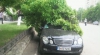 Martor ocular: O creangă de arţar a căzut pe plafonul unui Mercedes, parcat pe bulevardul Moscovei 