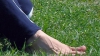 PERICOLUL din iarbă. O simplă ieşire la picnic poate provoca o boală îngrozitoare (VIDEO)