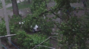 Ploaia şi vântul fac ravagii în Chişinău. Zeci de crengi au căzut la pământ şi peste maşini VIDEO 
