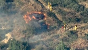 Sute de hectare de pădure, mistuite de flăcări VIDEO