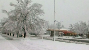 În Colorado este din nou iarnă! În mai multe zone ale statului a nins