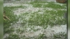 Ploaia cu gheaţă a făcut ravagii în ţară: Peste o mie de hectare de semănături au fost afectate