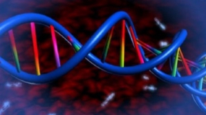 Curtea Supremă din SUA a decis că ADN-ul uman nu poate fi brevetat 