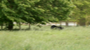 CREATURA care a înfricoşat un lord britanic: "Trebuie să facem ceva înainte să mănânce un om" 