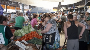 Fermierii, în aşteptarea celui mai mare Centru agroalimentar. Vasile Bumacov: Proiectul a fost blocat de unii deputaţi şi oameni de afaceri