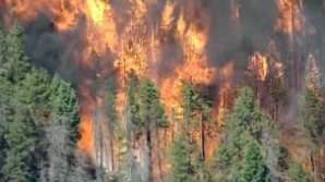 Vreme la extreme în SUA: Incendii de proporţii în Oregon şi inundaţii puternice în Arizona 