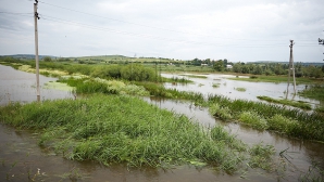 Mai multe gospodării din raioanele Hânceşti, Ştefan Vodă şi Căuşeni, din nou, sub ape