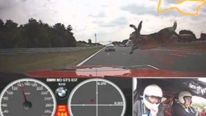 Ce se întâmplă când un iepure îţi sare în cale în timp ce şofezi cu 140 km/h (VIDEO)
