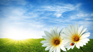 Vremea se răcoreşte. Ce temperaturi vom avea în următoarele şapte zile