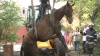 Operaţiune emoţionantă: Un cal a fost salvat de un câine, după ce a căzut într-un canal (VIDEO)