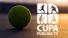 ATENŢIE, începe înscrierea pentru CUPA PUBLIKA TV LA TENIS DE CÂMP! 