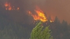 Un puternic incendiu de pădure a izbucnit în oraşul american Ketchum. Peste 600 de persoane au fost evacuate (VIDEO)