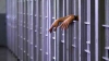 Asasinul fetei din Hânceşti, strangulată cu un cordon, condamnat la 25 de ani de închisoare