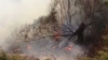 (VIDEO) Portugalia nu mai face faţă incendiilor de pădure, iar Asia este în alertă din cauza taifunului Trami