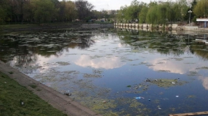 Întuneric, arbori care stau să cadă şi alei pline de noroi. Parcul Valea Trandafirilor din Capitală a ajuns în stare jalnică