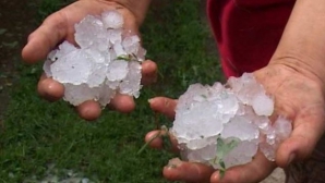 Fermierii afectaţi de grindină vor primi ajutoare. "Cu întârziere, dar e bine că am găsit cum să-i ajutăm"