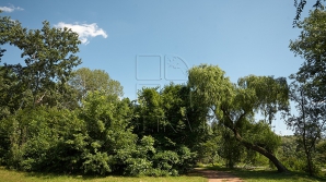 Meteorologii atenţionează că zilele devin tot mai fierbinţi. Temperaturile vor continua să crească şi astăzi