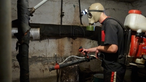 Sute de mii de lei, alocate din bugetul capitalei pentru a alunga şoarecii şi insectele din subsolurile blocurilor GALERIE FOTO, VIDEO