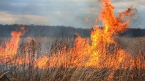 Revine canicula! O parte a teritoriului ţării este expusă riscului de incendii