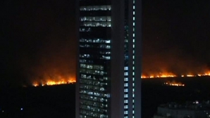 Un incendiu de proporţii a izbucnit într-o rezervaţie ecologică de lângă Buenos Aires 