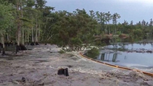 Copaci de peste 10 metri, înghiţiţi de o masivă surpare de pământ, în câteva secunde VIDEO