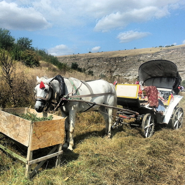 Locuri unice, muzică bună şi mulţi oameni frumoşi. Festivalul Gustar, în FOTOGRAFII UIMITOARE