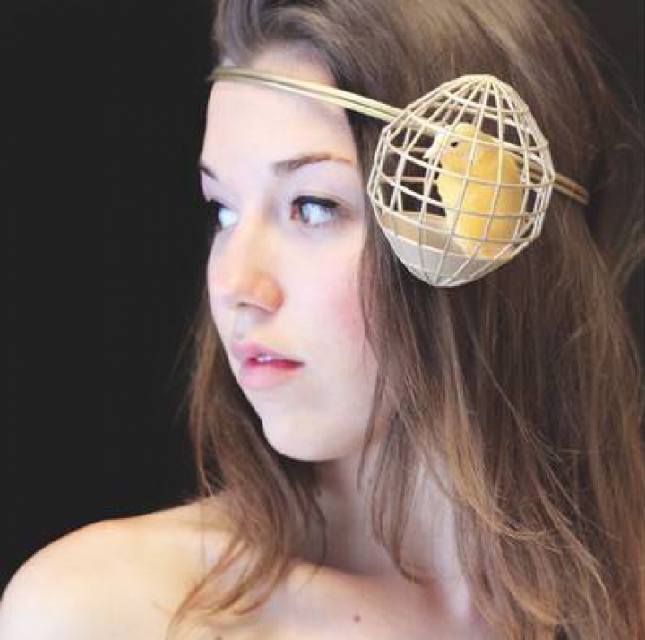 (FOTO) Hamsterii şi puii pe post de bijuterii. Tu ai purta aşa ceva?