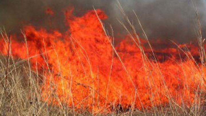 Temperaturile ridicate au provocat zeci de incendii în ţară. Mai multe hectare cu iarbă uscată au ars