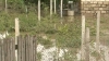 Pagube provocate de ploaie în mai multe localităţi din raionul Cahul