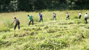 Moldovenii nu mai vor să lucreze cu ziua. Ce îi nemulţumeşte