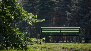 Un italian a fost găsit spânzurat într-un parc din sectorul Buiucani al capitalei