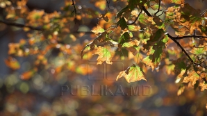 Vremea oscilează între soare şi ploi în următoarele zile