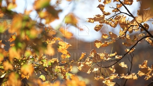 Vreme frumoasă astăzi, cu vânt slab spre moderat şi temperaturi generoase