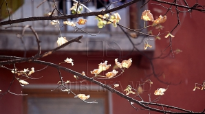 Vremea se răcoreşte. Maximele termice vor fi astăzi de 16 grade Celsius