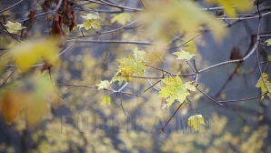 Vreme instabilă în următoarele zile: Soare şi ploi slabe în toată ţara