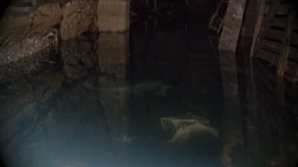 Subsolul unui bloc din oraşul Durleşti, inundat DETALII