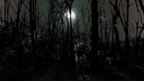 Un copil rătăcit într-o pădure din România a fost găsit după 24 de ore. "A îndurat condiţii groaznice" 