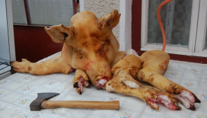 Rusia are obiecţii şi faţă de Belarus. Rospotrebnadzor ar fi găsit bacterii periculoase în produsele din carne de porc de la Minsk