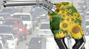 UE îngroapă afacerile fermierilor şi producătorilor de biocombustibili