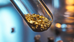 Au înghiţit 25 de bucăţi de aur pentru a evita plata taxelor de import