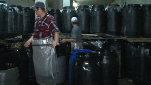 Afacerea din care unii moldoveni obţin bani frumoşi. Produsele lor sunt la mare căutare pe piaţa din Rusia (VIDEO)
