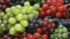 O nouă lovitură din partea Rosselhoznadzor. A rebutat peste 130 de tone de struguri din Moldova şi Turcia